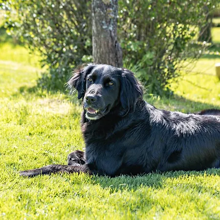 Apartment Im Elsetal